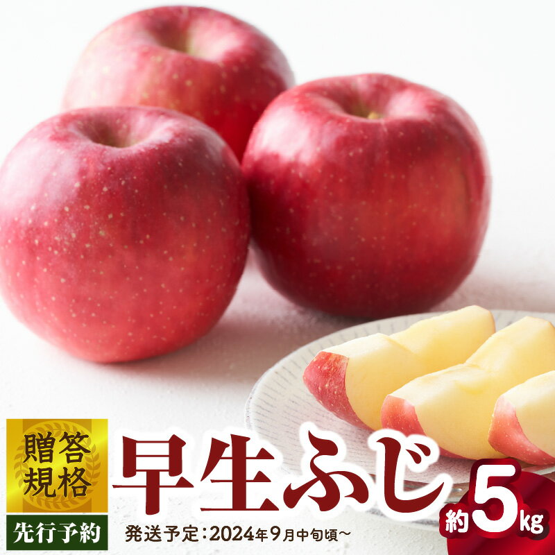 [先行予約]贈答規格 早生ふじ約5kg(特秀〜秀14〜20玉)[2024年9月中旬頃〜発送予定][大江町産・山形りんご・りんご専科 清野哲生]