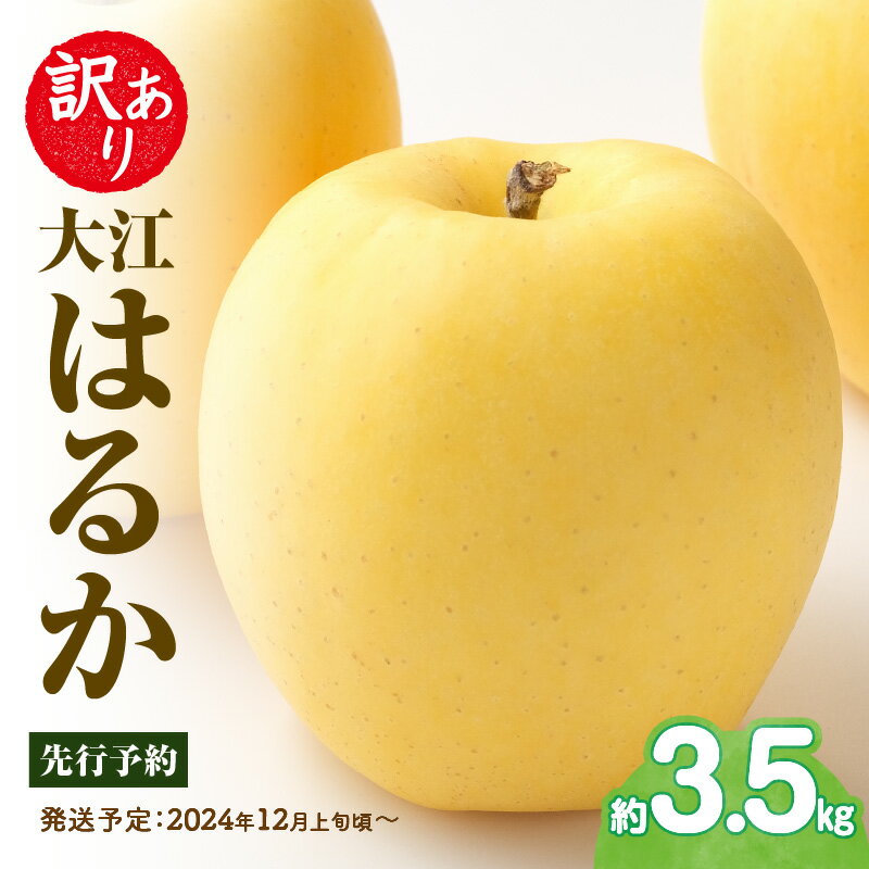 【ふるさと納税】《先行予約》訳あり 大江はるか約3.5kg【2024年12月上旬頃～発送予定】大江町産 山形りんご りんご専科 清野哲生 詰合せ リンゴ 林檎 フルーツ 果物 産地直送