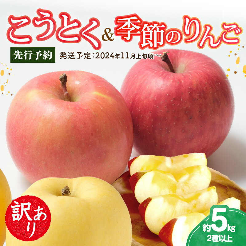 [先行予約]訳ありこうとく&季節のりんご詰合せ約5kg2種以上[2024年11月上旬頃〜発送予定][大江町産・山形りんご・りんご専科 清野哲生]