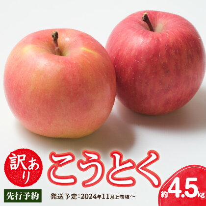 《先行予約》訳ありこうとく約4.5kg【2024年11月上旬頃～発送予定】【大江町産・山形りんご・りんご専科 清野哲生】