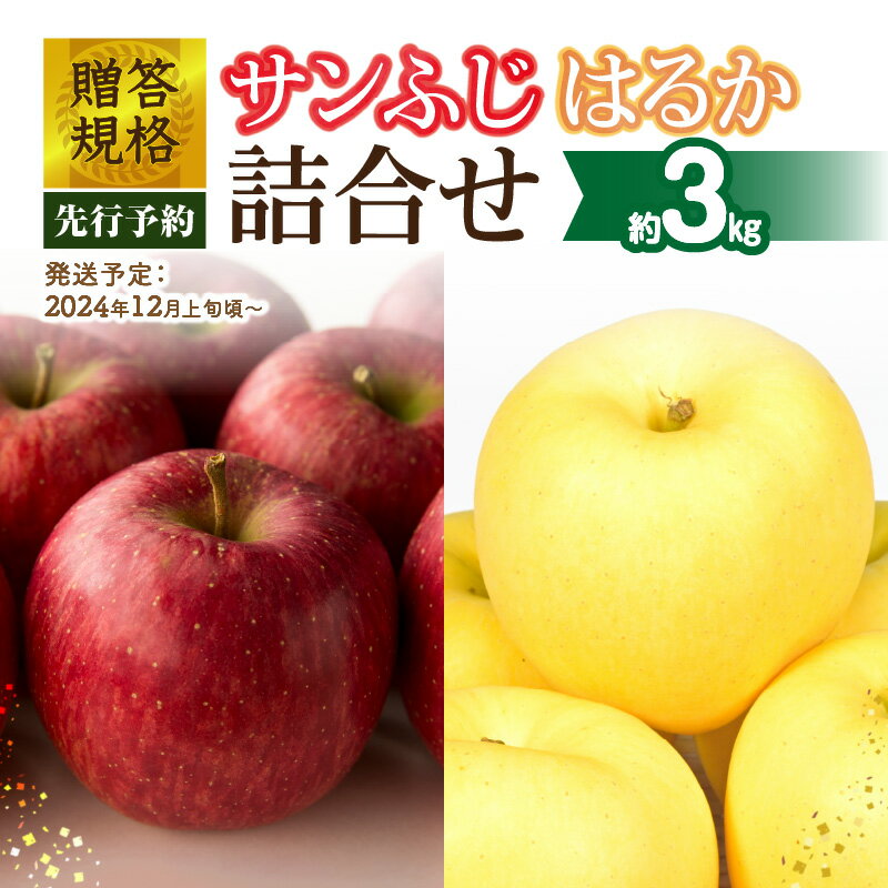 [先行予約]贈答規格「サンふじ」「はるか」約3kg詰合せ(特秀〜秀)[2024年12月上旬頃〜発送予定][大江町産・山形りんご・りんご専科 清野哲生]