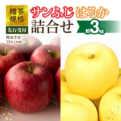 【ふるさと納税】《先行受付》贈答規格「サンふじ」「はるか」約3kg詰合せ(特秀〜秀)【2025年12月上旬〜発送予定】【大江町産・山形りんご・りんご専科 清野】 リンゴ 林檎 フルーツ 果物 産地直送 【ふるさと納税】《先行受付》贈答規格「サンふじ」「はるか」約3kg詰合せ(特秀〜秀)【2025年12月上旬〜発送予定】【大江町産・山形りんご・りんご専科 清野】 リンゴ 林檎 フルーツ 果物 産地直送