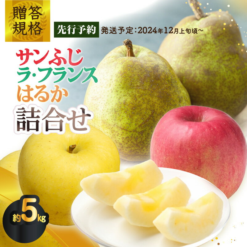 [先行予約]贈答規格「サンふじ」「ラ・フランス」「はるか」約5kg詰合せ(特秀〜秀)[2024年12月上旬頃〜発送予定][大江町産・山形りんご・りんご専科 清野哲生]