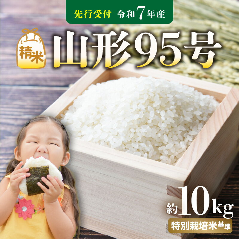 【ふるさと納税】 《先行受付》 山形95号 (令和7年産) 精米 約10kg 【2025年10月中旬以降〜順次発送予定】 お米 白米 ご飯 山形県産