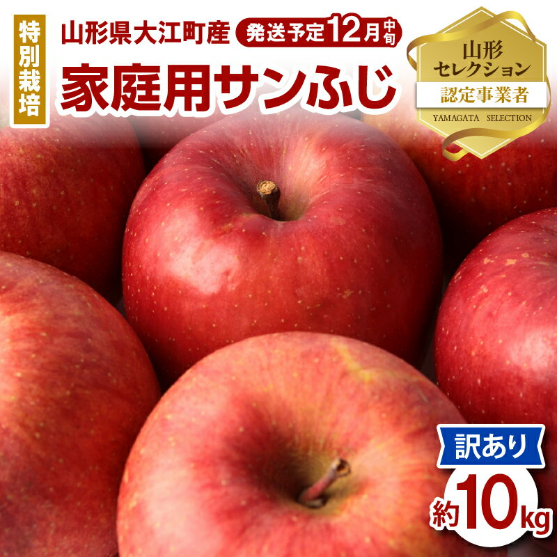 [先行予約]特別栽培 訳あり 家庭用サンふじ約10kg [2024年12月中旬頃〜発送予定][山形りんご・大江町産・鈴木果樹園]