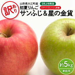 【ふるさと納税】《先行予約》訳あり 初夏りんご 家庭用サンふじ＆星の金貨 約5kg（スマートフレッシュ貯蔵）【2024年5月中旬頃～発送予定】【山形りんご・大江町産・5月】