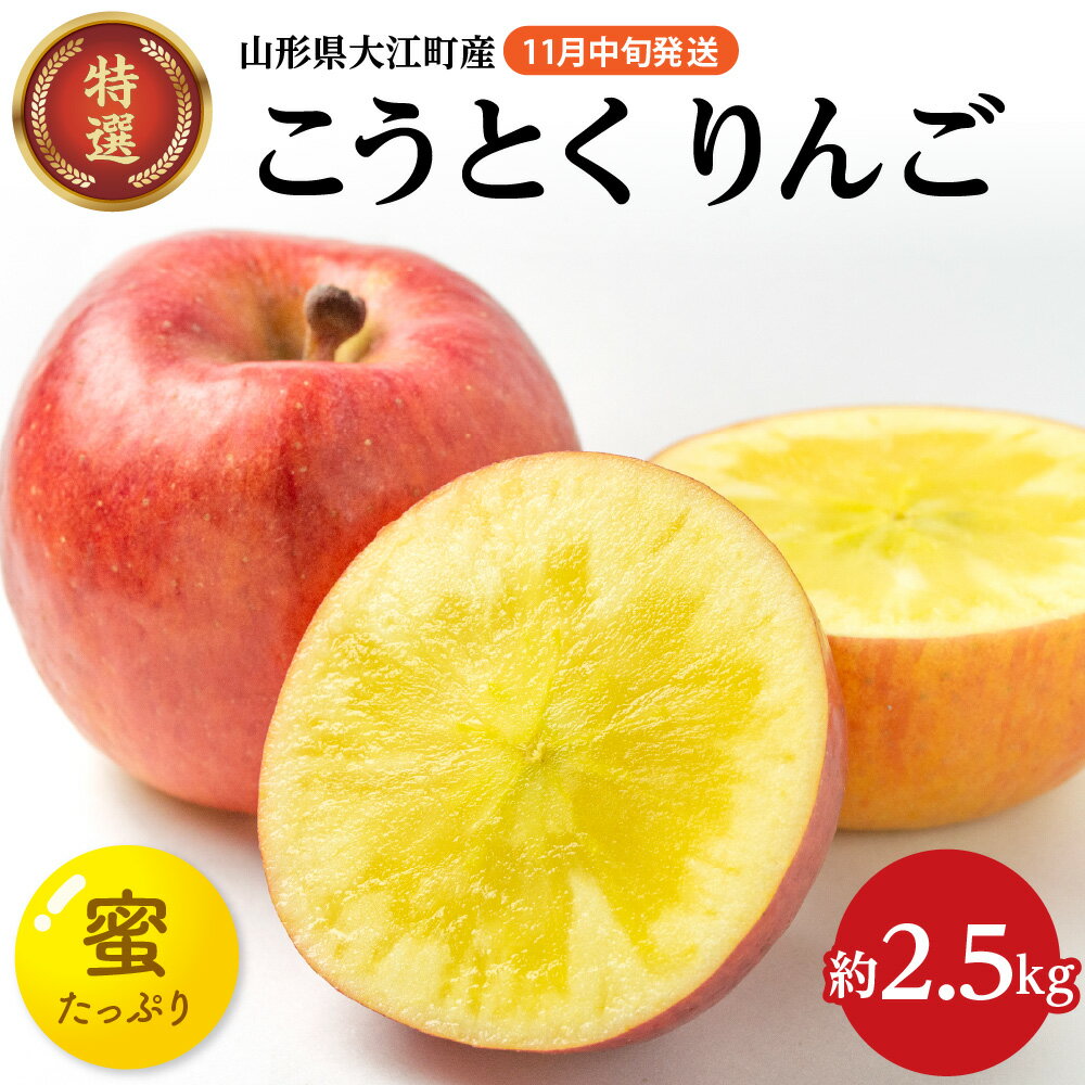 [先行予約]特選こうとくりんご約2.5kg [2024年11月中旬頃〜発送予定][大江町産・山形りんご・大地農産・11月・12月]