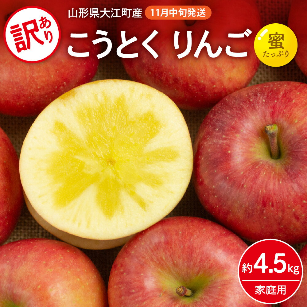 [先行予約]訳ありこうとくりんご約4.5kg [2024年11月中旬頃〜発送予定][大江町産・山形りんご・大地農産・11月・12月]