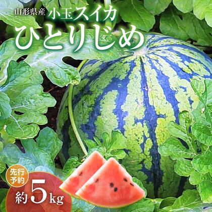 《先行予約》小玉スイカ ひとりじめ 約5kg【2024年7月下旬頃～発送予定】【山形県産 西瓜】