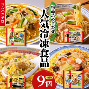 【ふるさと納税】 マルハニチロ 冷凍食品 詰合せセット 4種類 合計9個セット レトルト 冷凍 手軽 セット 詰め合わせ 便利 簡単調理 時短 食べ比べ