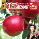 【ふるさと納税】≪先行受付≫紅玉りんご5kg 18個~25個 特秀【2025年10月下旬頃~発送予定】 紅玉 りんご 特秀 焼きりんご アップルパイ りんごジャム 濃厚 昔懐かしい リンゴ 林檎 アップル 果物 フルーツ レビューキャンペーン