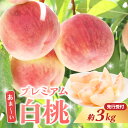 【ふるさと納税】 ≪先行受付≫ 甘〜い プレミアム白桃 約3kg【2025年8月中旬頃〜発送予定】 レビューキャンペーン
