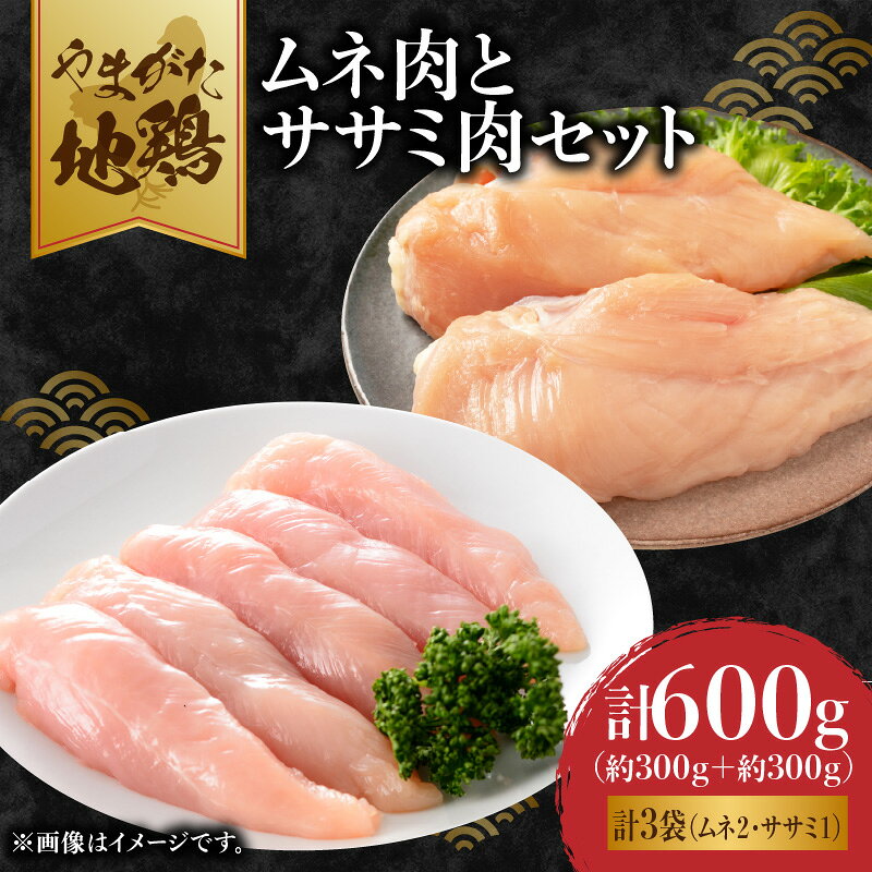 やまがた地鶏 「ムネ肉とササミ肉」セット 山形県 大江町 やまがた地鶏 地鶏 鶏肉 むね肉 ムネ肉 ささみ肉 ササミ肉 セット