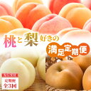 【ふるさと納税】 ≪先行受付≫ 桃と梨好きの満足定期便【定期便全3回】 白桃 和梨 黄桃 フルーツ 果物 産地直送 定期便 レビューキャンペーン