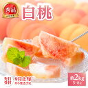 【ふるさと納税】《先行受付》★白桃(品種おまかせ)★ 約2kg(5~8玉) 秀品 【2025年9月上旬頃~発送予定】 レビューキャンペーン