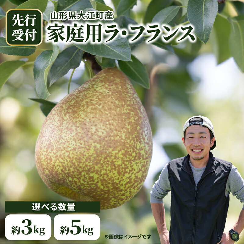 【ふるさと納税】大江町産 ラフランスご家庭用 選べる内容量 （約3kg～5kg 9玉～16玉前後）【2026年11月中旬頃～順次発送予定】 ラフランス 山形 大江町 産地直送 家庭用 訳あり 5kg 5キロ 3kg 3キロ 果樹園 直送 西洋梨 甘い 香り豊か 新鮮 フルーツ