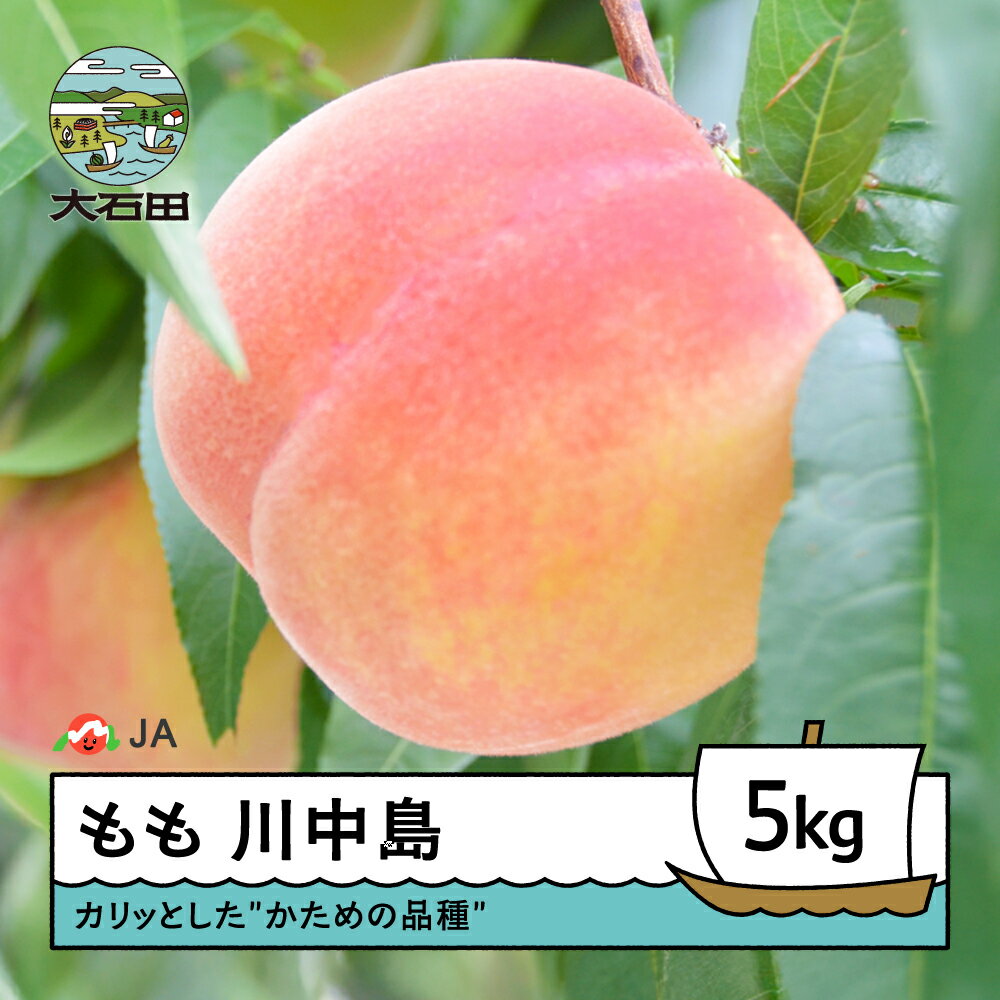 【ふるさと納税】【先行予約】もも 桃 川中島 約5kg 2026年産 令和8年産 果物 フルーツ 果樹 送料無料 ja-moknx5