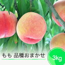 【ふるさと納税】【先行予約】桃 もも モモ 品種おまかせ 果物 フルーツ くだもの 約3kg 2026年産 令和8年産 ja-moxxx3