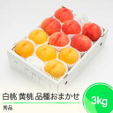 【ふるさと納税】もも 白桃 有袋黄桃 秀品 詰め合わせ 品種おまかせ 化粧箱入り 約3kg 2025年産 送料無料 フルーツ 果物 アソート大石田 ns-moh...