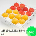 【ふるさと納税】もも 白桃 有袋黄桃 秀品 詰め合わせ 品種おまかせ 化粧箱入り 約5kg 2025年産 送料無料 フルーツ 果物 アソート大石田 ns-moh...