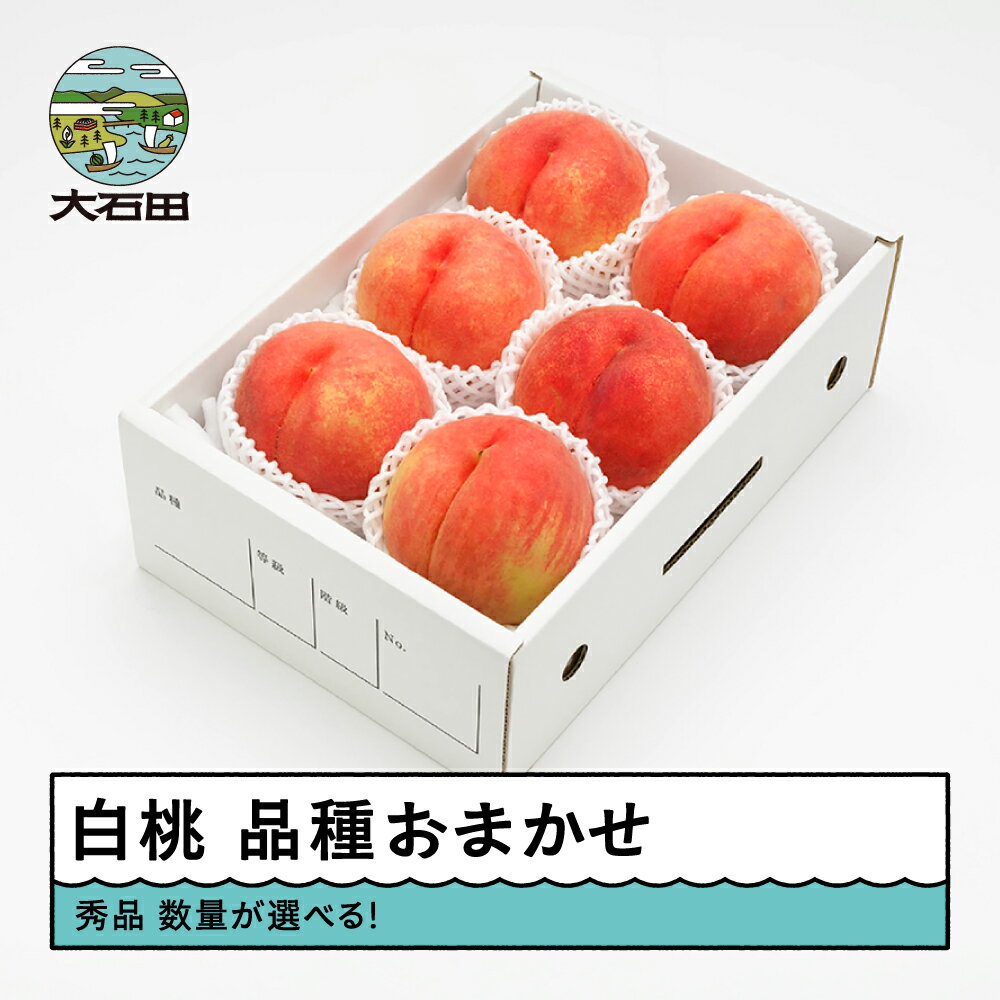 [先行予約] もも 白桃 秀品 品種おまかせ 化粧箱入り 数量選べる 2026年産 送料無料 フルーツ 果物 大石田 ns-mohtx※沖縄・離島への配送不可