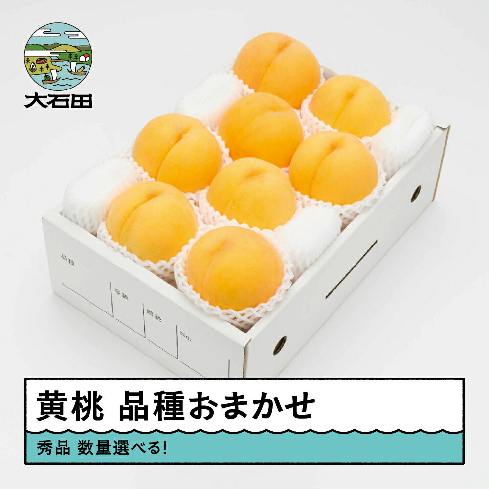 [先行予約] もも 黄桃 有袋黄桃 秀品 品種おまかせ 化粧箱入り 数量選べる 2026年産 送料無料 フルーツ 果物 大石田 ※沖縄・離島への配送不可