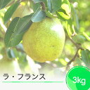 【ふるさと納税】ラ・フランス 洋梨 ラフランス 約3kg 2025年産 フルーツ くだもの 果樹 ギフト 山形県 ja-laxxx3