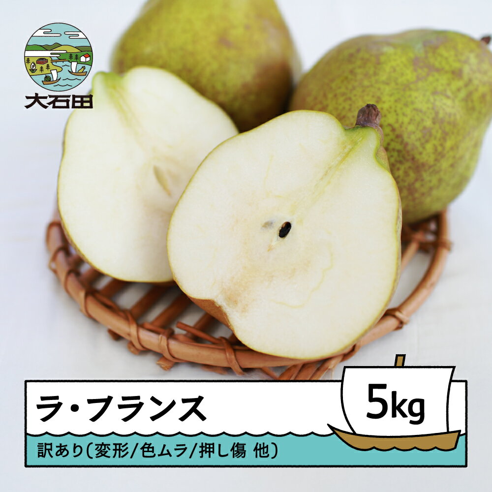 【ふるさと納税】ラ・フランス 洋梨 訳あり 約5kg 2025年産 令和7年産 フルーツ 果物 山形県 ns-lawax5