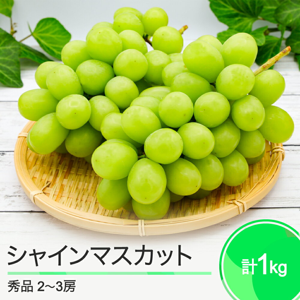 【ふるさと納税】先行予約 シャインマスカット 合わせて1kg 2~3房 山形県産 2025年度産 令和7年 フルーツ 果実 送料無料 ry-busmx1000