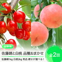 【ふるさと納税】【先行予約】 2回定期便 佐藤錦1kg×白桃2kg さくらんぼ 白桃 品種おまかせ 選べる定期便 山形県産 2026年産 令和8年産 フルーツ 果実 ry-ft2shx