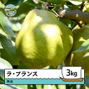 【ふるさと納税】 洋梨 ラ・フランス 約3kg 令和7年産 2025年産 ry-laxxx3000 ※沖縄・離島への配送不可