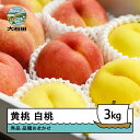 【ふるさと納税】【先行予約】 もも 黄桃&白桃 品種おまかせ 計3kg 令和8年産 2026年産 ry-mohot3000 ※沖縄・離島への配送不可