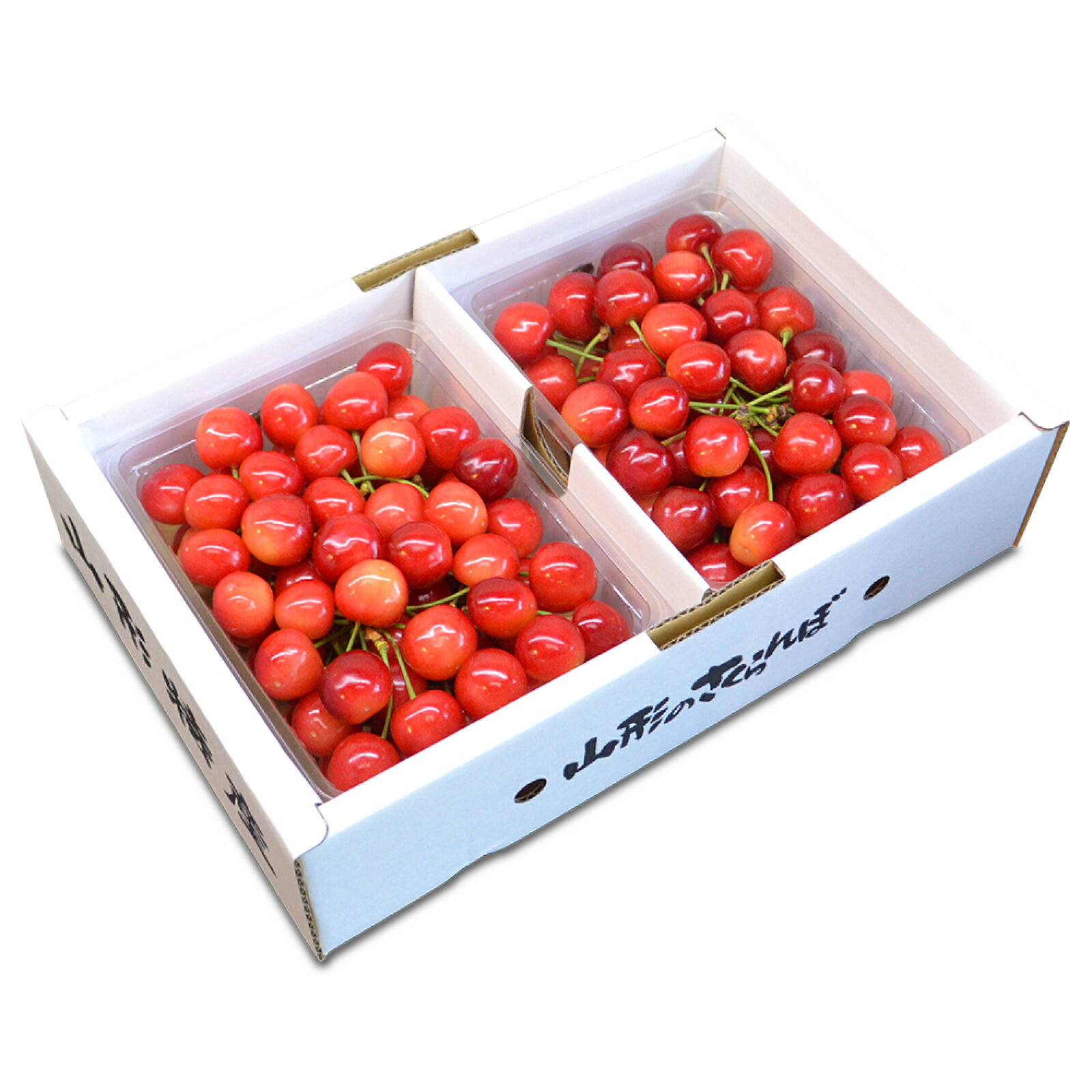 【ふるさと納税】さくらんぼ 佐藤錦 秀L 1000g 1kg（バラ詰め） 2026年産 令和8年産 山形県産 ふるさと納税 果物 くだもの フルーツ 期間限定 冷蔵配送 先行受付 グルメ 取り寄せ ご当地 特産 産地 直送 送料無料 東北 山形県 人気 （500g×2パック） ry-snslb1000