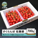 【ふるさと納税】さくらんぼ 佐藤錦 秀L 700g (350g×2パック) 2025年産 令和7年産 山形県産 ふるさと納税 果物 くだもの フルーツ 期間限定 冷蔵配送 先行受付 グルメ 取り寄せ ご当地 特産 産地 直送 送料無料 東北 山形県 人気 ry-snslb700