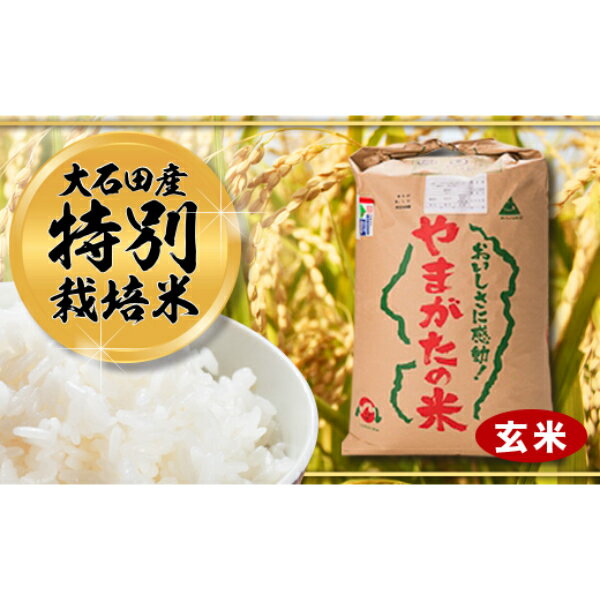 【ふるさと納税】27-[3]【令和2年大石田町産特別栽培米】はえぬき30kg(玄米)