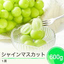 【ふるさと納税】ぶどう シャインマスカット 秀品 約600g