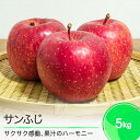 【ふるさと納税】りんご サンふじ 5kg 2025年産 果物 フルーツ くだもの 大石田 山形県 ja-risfx5(4)