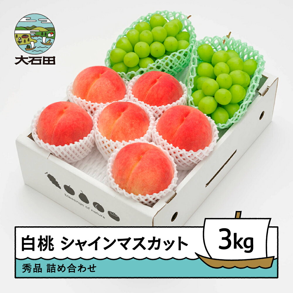 【ふるさと納税】 【先行予約】もも 白桃 秀品 & シャインマスカット 品種おまかせ 詰め合わせ 約3kg 2026年産 令和8年産 送料無料 フルーツ 果物 ...