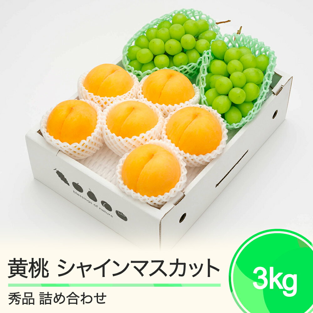 【ふるさと納税】有袋黄桃 秀品＆シャインマスカット 品種おまかせ 詰め合わせ 約3kg 2025年産 送料無料 フルーツ 果物 大石田 ns-fsos..