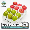 【ふるさと納税】 サンふじ & ラ・フランス 詰め合わせ 秀品 3kg 化粧箱入 詰め合わせ 令和7年産 2025年産 12月上旬~1月中旬頃発送 送料無料 りんご リンゴ 洋梨 西洋梨 ラフランス 果物 フルーツ アソート ギフト 山形県産 送料無料 ※沖縄・離島への配送不可 ns-fsrlx3