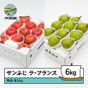 【ふるさと納税】 サンふじ & ラ・フランス 秀品 各3kg 計6kg 化粧箱入 詰め合わせ 令和7年産 2025年産 12月上旬~1月中旬頃発送 りんご リン...