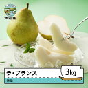 【ふるさと納税】ラ・フランス 秀品 3kg 洋梨 なし ラフランス 2025年産 令和7年産 送料無料 フルーツ 果物※沖縄・離島への配送不可 ns-laxxx3