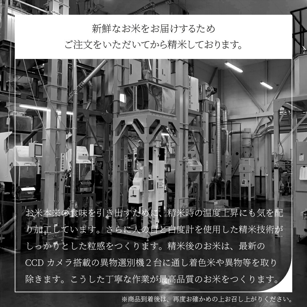 【ふるさと納税】米 10kg 5kg×2袋 あきたこまち 令和5年産 2023年産 山形県産 精米 無洗米 送料無料 大石田※沖縄・離島への配送不可