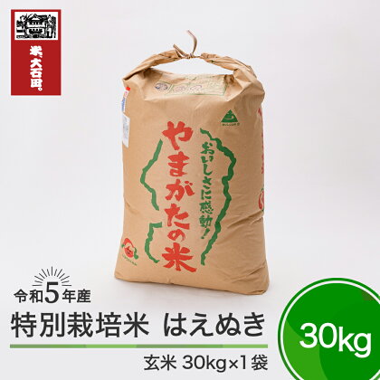 米 令和5年産 はえぬき 30kg 大石田町産 特別栽培米 玄米 送料無料 大石田※沖縄・離島への配送不可