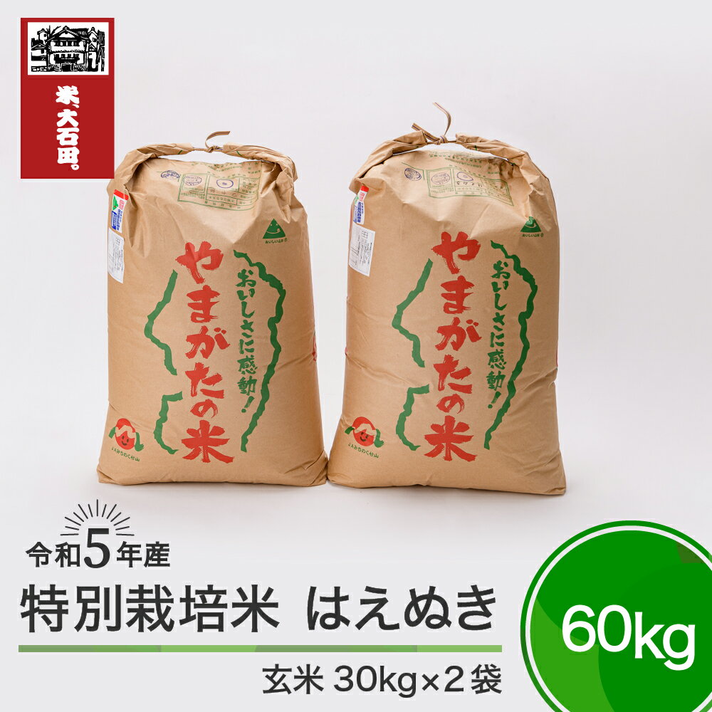 米 令和5年産 はえぬき 60kg 大石田町産 特別栽培米 玄米 送料無料 大石田