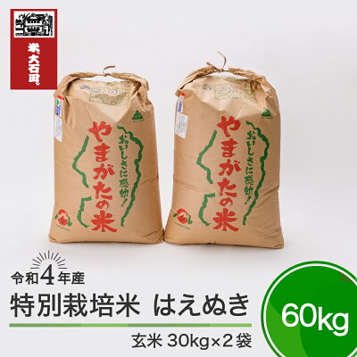 【ふるさと納税】米 令和4年産 はえぬき 60kg 大石田町産 特別栽培米 玄米 送料無料