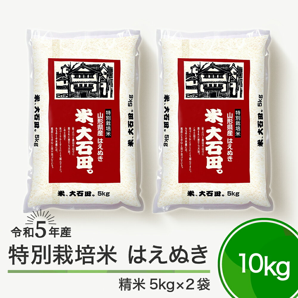 米 令和5年産 はえぬき 10kg 大石田町産 特別栽培米 精米 送料無料 大石田