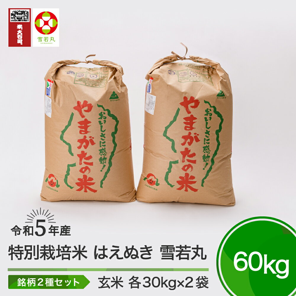 楽天山形県大石田町【ふるさと納税】米 令和5年産 はえぬき 雪若丸 各30kg 計60kg 大石田町産 特別栽培米 玄米 送料無料 大石田