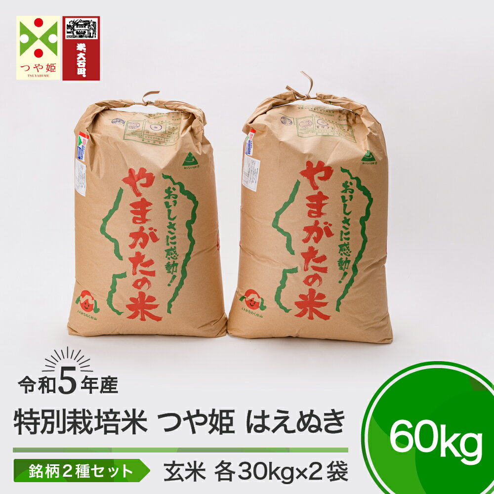 【ふるさと納税】米 令和5年産 つや姫 はえぬき 各30kg 計60kg 大石田町産 特別栽培米 玄米 送料無料 大石田