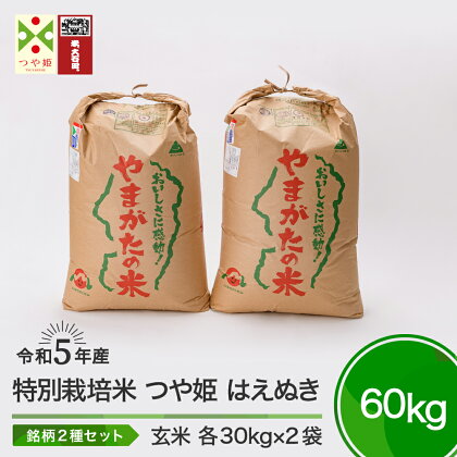 米 令和5年産 つや姫 はえぬき 各30kg 計60kg 大石田町産 特別栽培米 玄米 送料無料 大石田